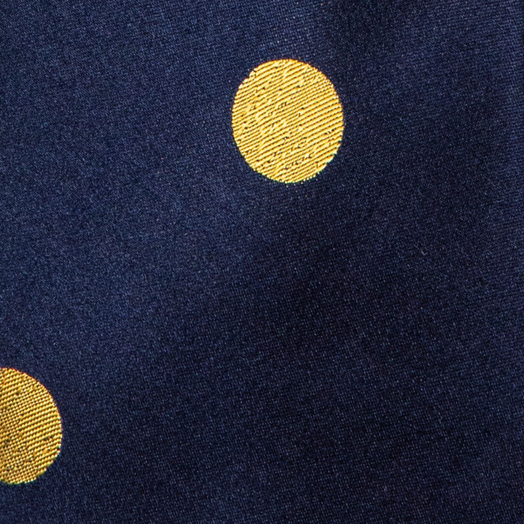 Navy With Multi Colour Polka Dots Tie
